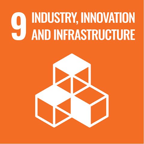 UN Sustainable Development Goal 9 icon